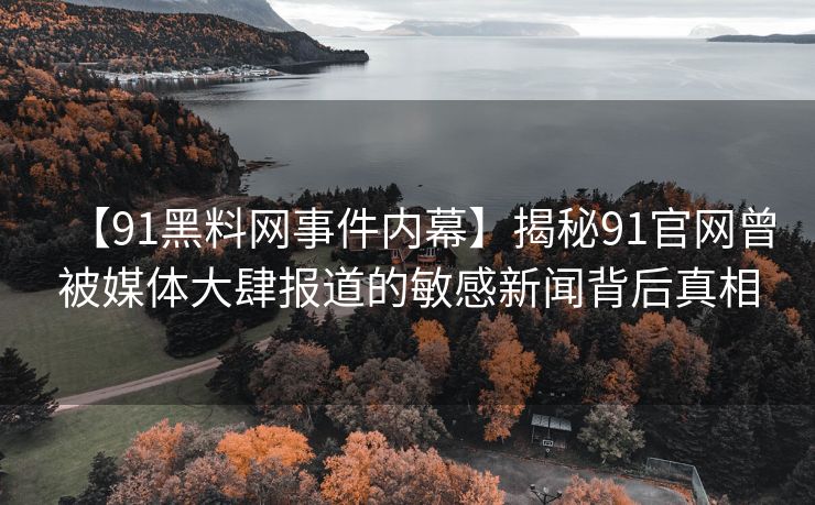 【91黑料网事件内幕】揭秘91官网曾被媒体大肆报道的敏感新闻背后真相
