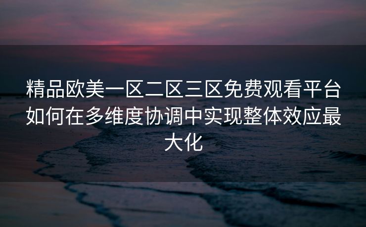 精品欧美一区二区三区免费观看平台如何在多维度协调中实现整体效应最大化