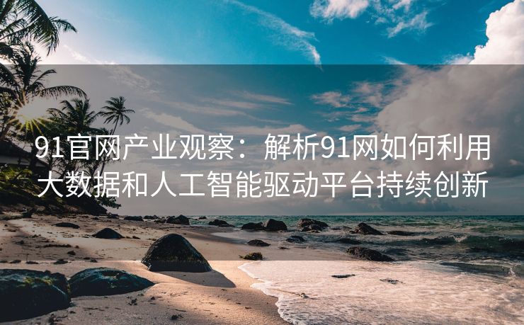 91官网产业观察：解析91网如何利用大数据和人工智能驱动平台持续创新