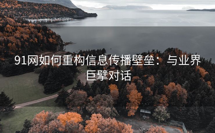 91网如何重构信息传播壁垒：与业界巨擘对话