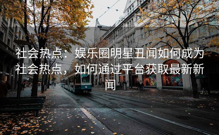 社会热点：娱乐圈明星丑闻如何成为社会热点，如何通过平台获取最新新闻